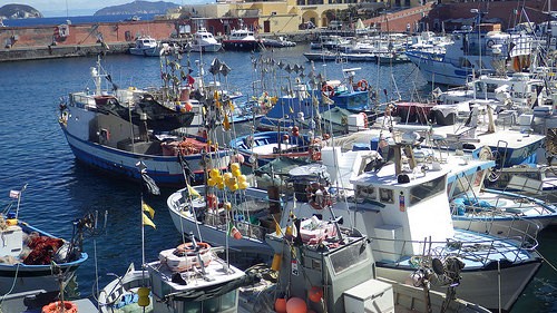  punta fieno