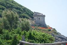 torre di paola