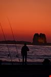  torre flavia