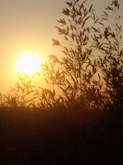 tramonto