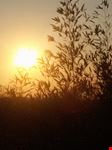 tramonto