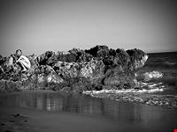  spiaggia dell arenauta