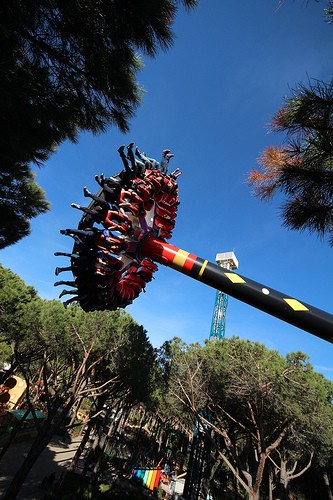  il cavallino matto