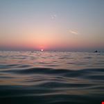  marina di castagneto carducci