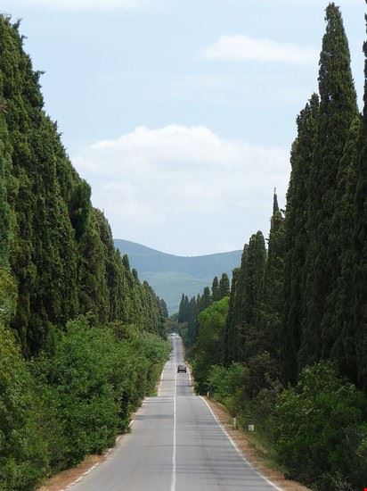  Castagneto Carducci Lucarelli - CC BY-SA 3.0 Lucarelli