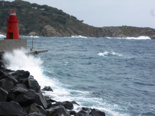  Isola del giglio silvia centomo - Attribution-NonCommercial-NoDerivs (http://creativecommons.org/licenses/by-nc-nd/2.0/) silvia centomo
