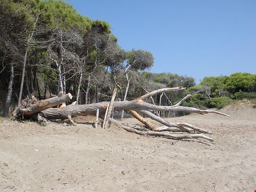 Get Spiaggia Della Feniglia Orbetello For Free Wallpaper Spiaggia Della Feniglia Orbetello For iPhone Free