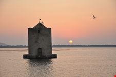  riserva naturale laguna di orbetello