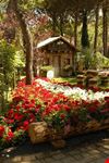 Giardini Pubblici