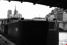 Notre Dame