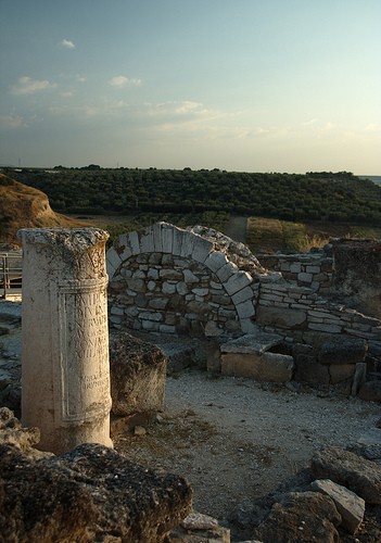  canne della battaglia