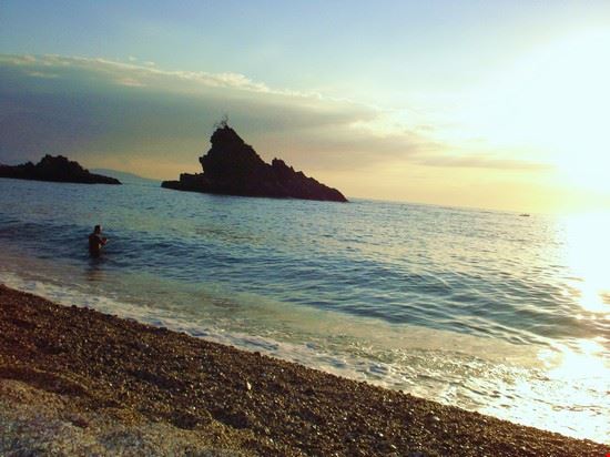 Summerland Palmi