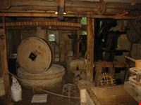 mulino
