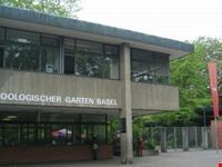 zoo basel