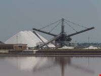 saline