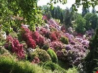 parco burcina