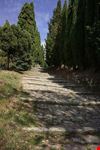  terrazza sulla val di chiana