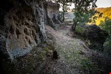 Parco_orsini