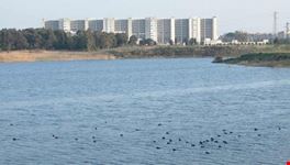 brindisi parco cillarese