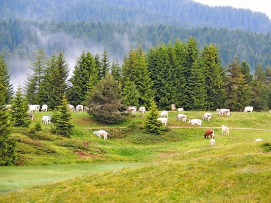 Passo Lavazè