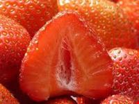 sagra_fragole