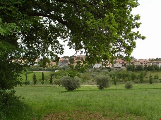  Civitanova  