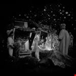  il presepe bianco