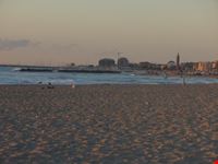 spiagge