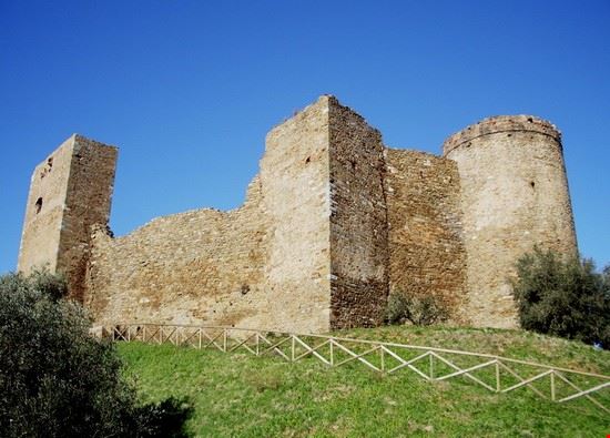  Scarlino Petitverdot - CC BY 3.0 Petitverdot