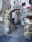 porta senese scarlino