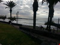 islas canarias tenerife