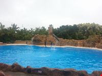 Islas Canarias