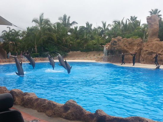 Islas Canarias