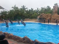 Islas Canarias