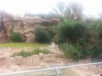 islas canarias tenerife
