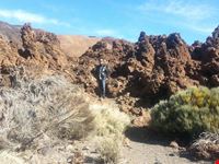 islas canarias tenerife