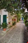 caratteristico cortile Ericino
