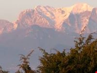 alpi