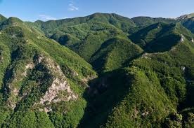colline