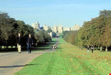 Panorama viale con alberi