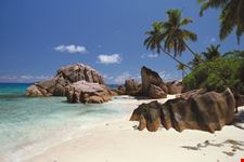 anse patates