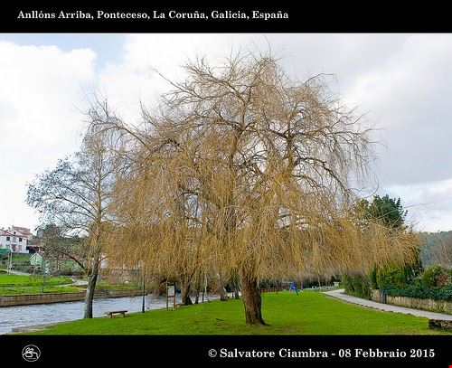  Sulmona Vater_fotografo - Attribution-ShareAlike License (http://creativecommons.org/licenses/by-sa/2.0/) Vater_fotografo