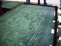 museo archeologico luni