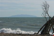  marina di bibbona