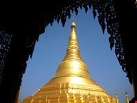 Shwedagon Pagoda 