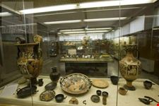 museo archeologico altamura
