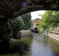 8903_prague_ponte_sul_fiume_moldava 8903_prague_ponte_sul_fiume_moldava