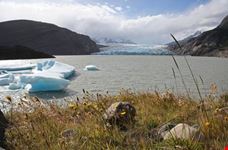Il lago e i ghiacciai