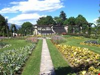 villa pallavicino de stresa - giardini