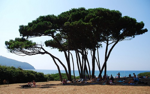  la spiaggia di baratti